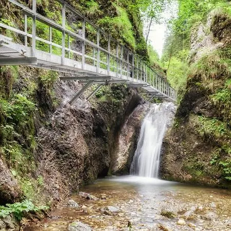 Park Borik 4you & Free Parking *