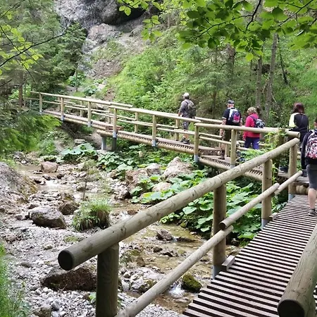 Park Borik 4you & Free Parking