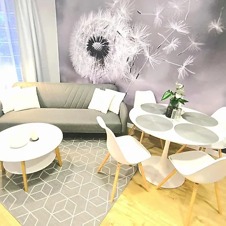 Park Borik 4you & Free Parking